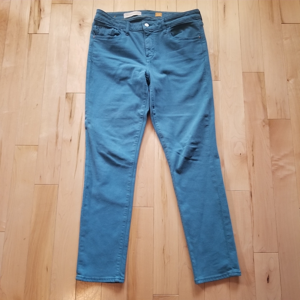 Anthro Pilcro & the Letterpress blue Stet pants 31